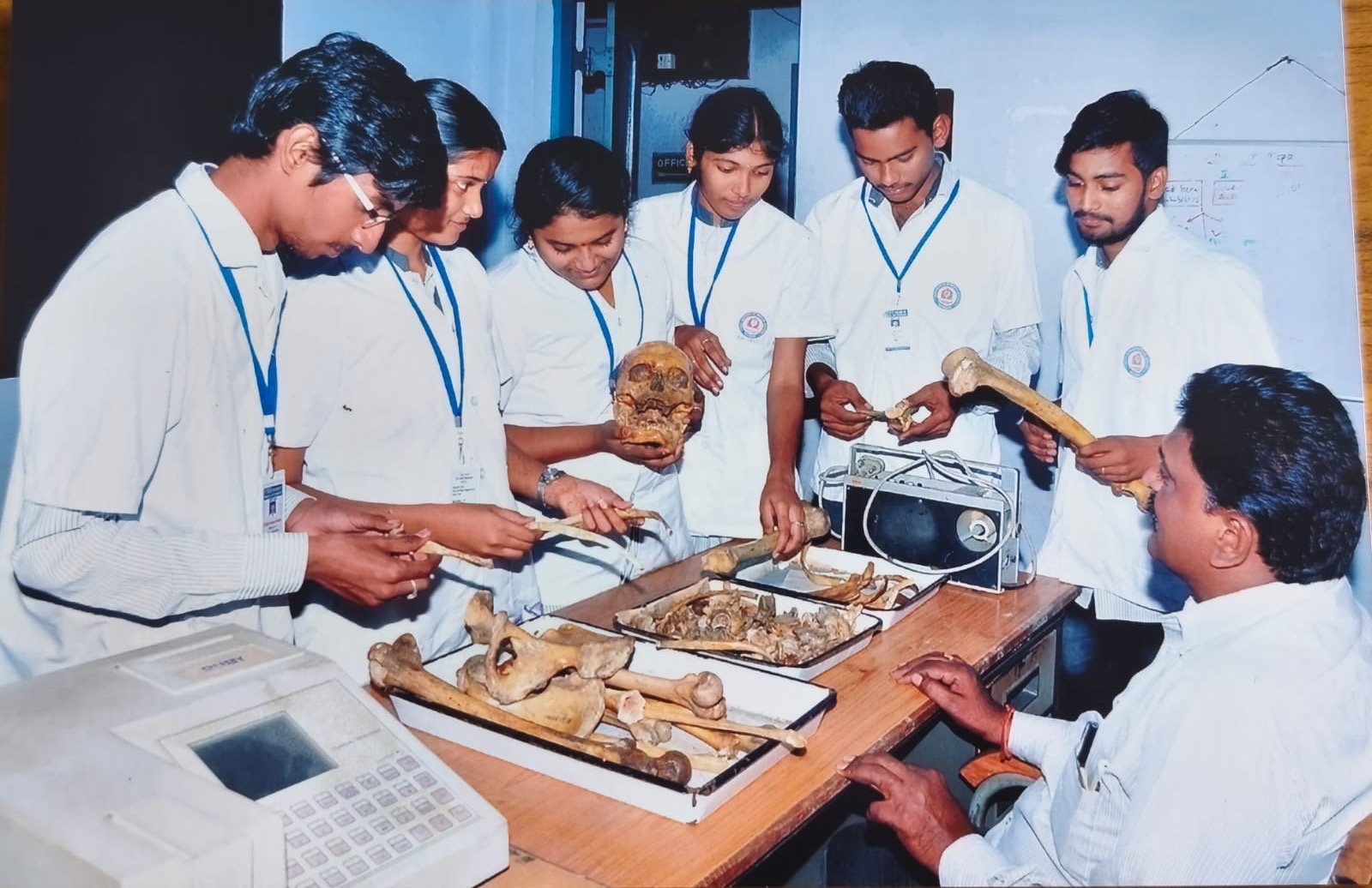 Human Anatomy & Osteology Practical Class